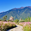尼洋阁藏东南文化博览园