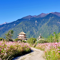 尼洋阁藏东南文化博览园