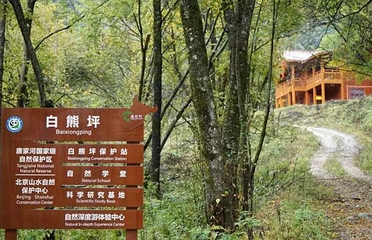 唐家河白熊坪第 1 张图片