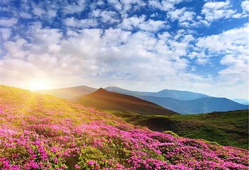 莽山五指峰景区第 86 张图片