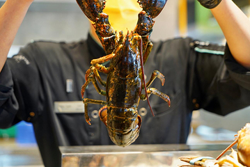 重庆解放碑威斯汀酒店·知味国际美食餐厅第 86 张图片