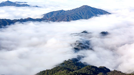 雷公山国家森林公园第 1 张图片