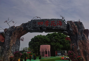 四季花海第 9 张图片