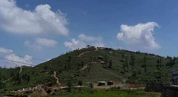 萤乡农场·云端时光