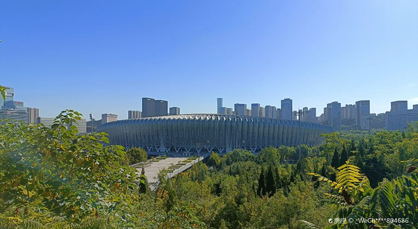 济南奥体中心体育场