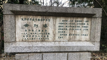 隋舍利塔第 2 张图片
