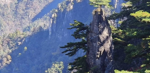 黄山风景区第 362 张图片