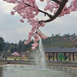 大爽河生态游乐景区