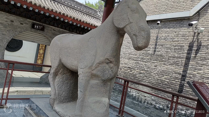 西安碑林博物馆-大夏石马第 2 张图片
