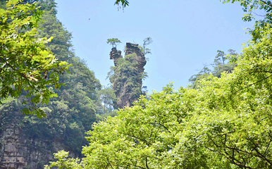 金鞭溪峡谷第 45 张图片