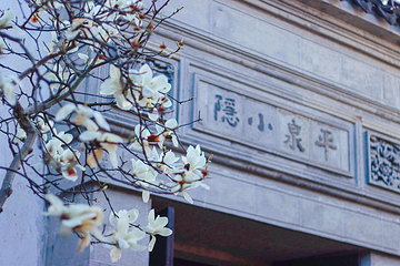 耦园第 25 张图片