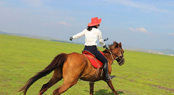 通湖路八公里骑马场户外营地