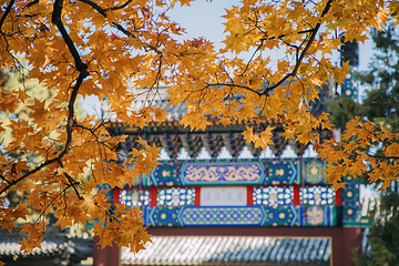 香山公园第 1 张图片