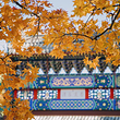 香山公园