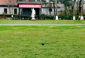 武汉革命博物馆第 28 张图片