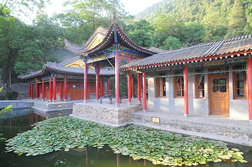 环园第 1 张图片