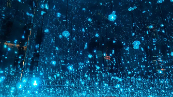 锦州星空失恋博物馆