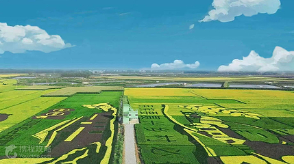 蒲河欢乐谷蒲河稻乡稻田画景区第 2 张图片