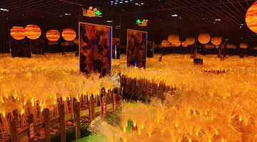 倒盏村梦幻小镇