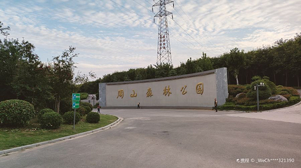 周山森林公园第 1 张图片