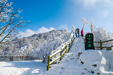 老界岭旅游度假区第 10 张图片