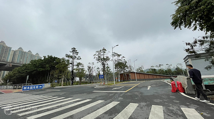 中山市树木园第 4 张图片