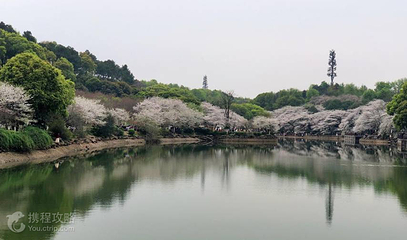 湘南植物园第 3 张图片