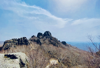 七星山国家森林公园第 19 张图片