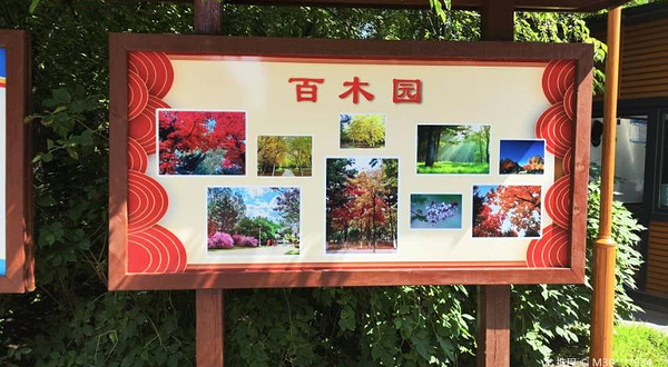 百木园