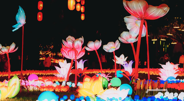 2026年珠海共乐灯会