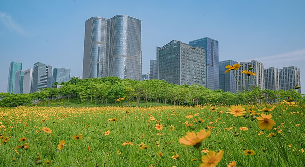 义乌江滨绿廊公园