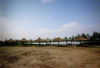滨江湿地旅游风景区第 22 张图片