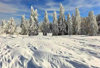 长白山仙峰雪岭景区第 7 张图片