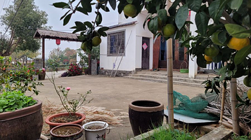 长荡湖暖村南山后