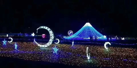 桂林洋国家热带农业公园第 24 张图片