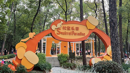 落雁景区-松鼠乐园第 1 张图片