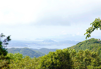 普陀山风景区第 41 张图片