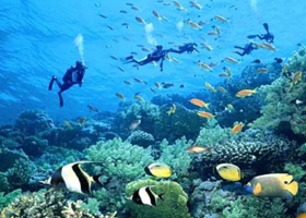 百福湾趣浪游艇俱乐部