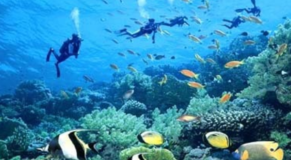 百福湾趣浪游艇俱乐部