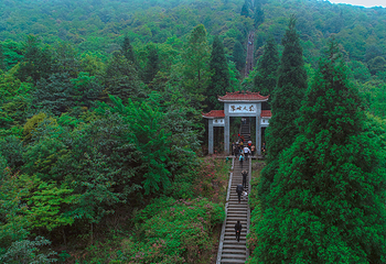 阳明山国家森林公园第 16 张图片