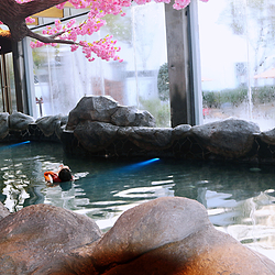 一号泉漂浮温泉