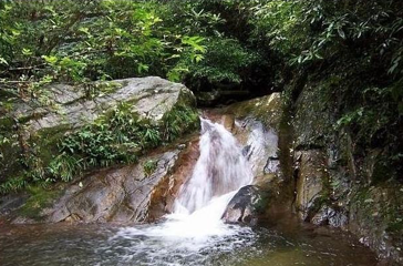 杨东山十二度水省级自然保护区第 1 张图片