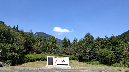 天目山自然保护区第 22 张图片