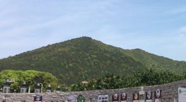 贵溪市塔桥园艺场