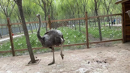 荆东小镇第 4 张图片