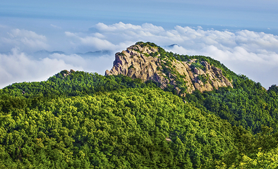 沂蒙山旅游区沂山景区第 15 张图片