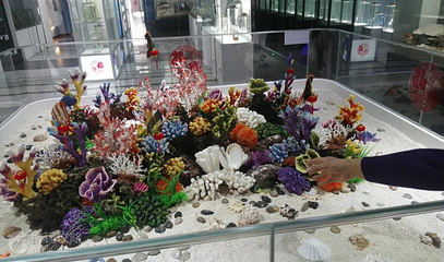 深圳蛇口海洋科普馆第 4 张图片