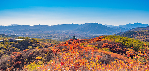 北京西山国家森林公园第 8 张图片