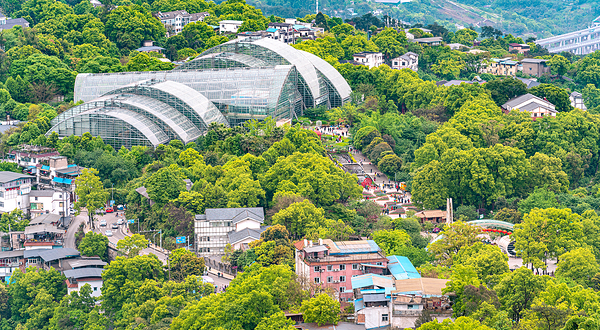 重庆南山植物园