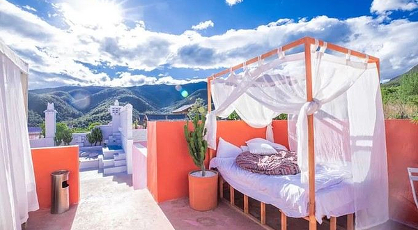 粉红帝国悠悠马场